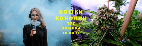 PSILOCYBIN Ладушкин