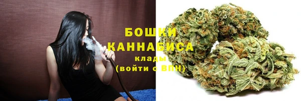 PSILOCYBIN Ладушкин