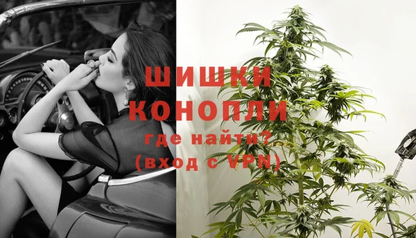 PSILOCYBIN Ладушкин