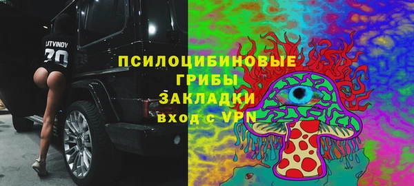 PSILOCYBIN Ладушкин