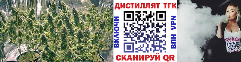 blacksprut ссылка  Ак-Довурак  Дистиллят ТГК жижа 