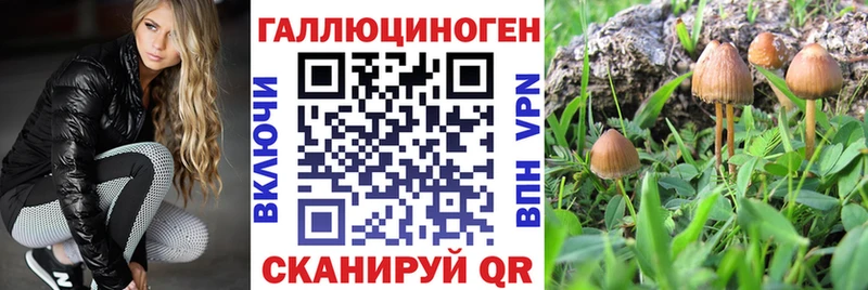 Галлюциногенные грибы Magic Shrooms  Ак-Довурак 